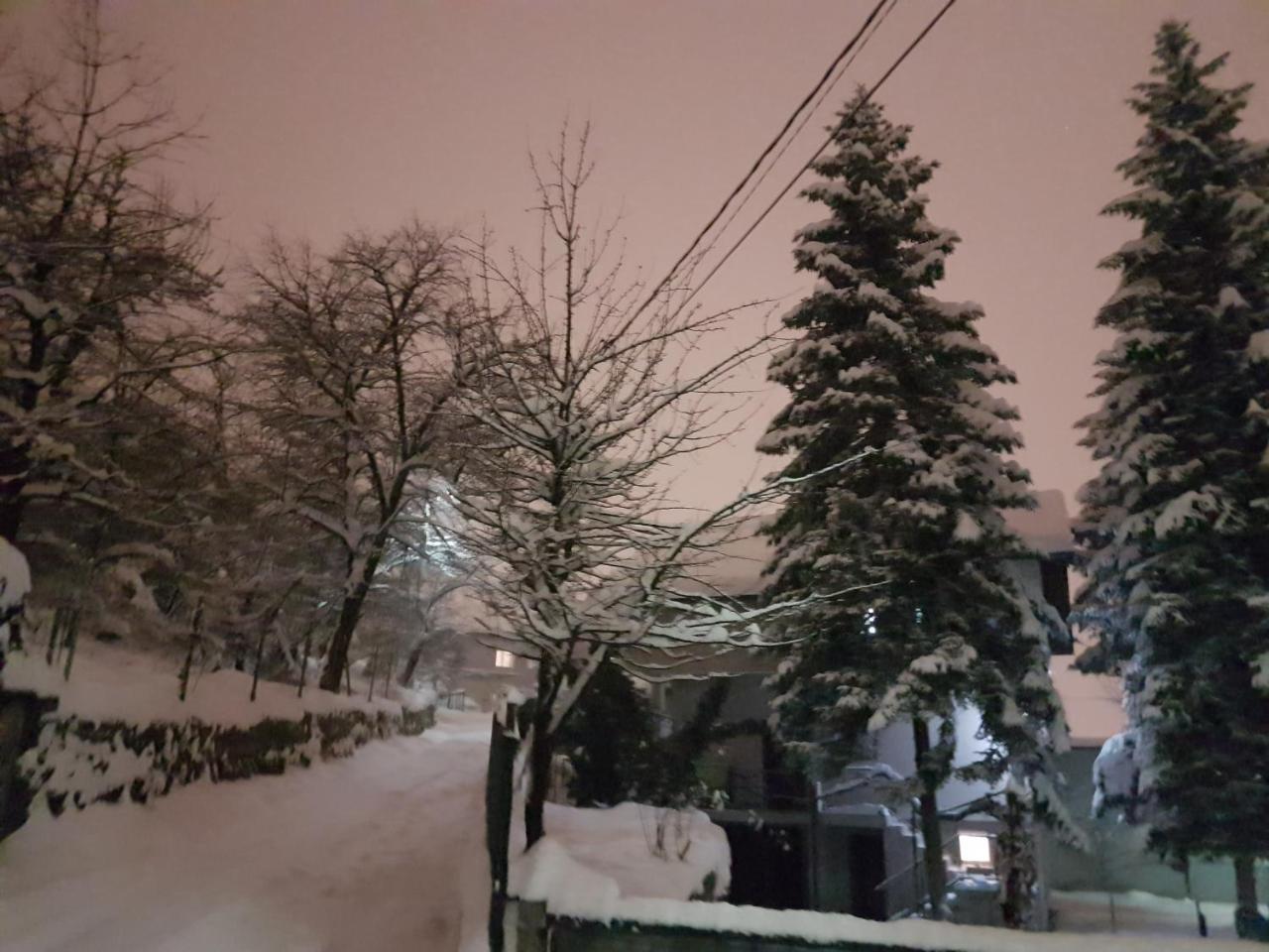 Cosy And Chic... Parking Included Apartment Sarajevo Exterior photo